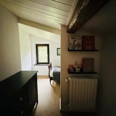Larici *